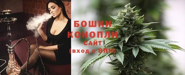 PSILOCYBIN Верхний Тагил