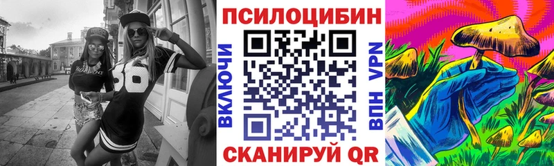 Купить где Остров Псилоцибиновые грибы Cubensis